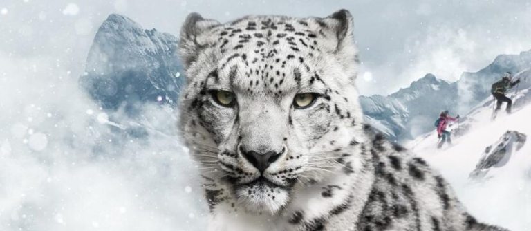 Alpinskitour - a tras j defincija