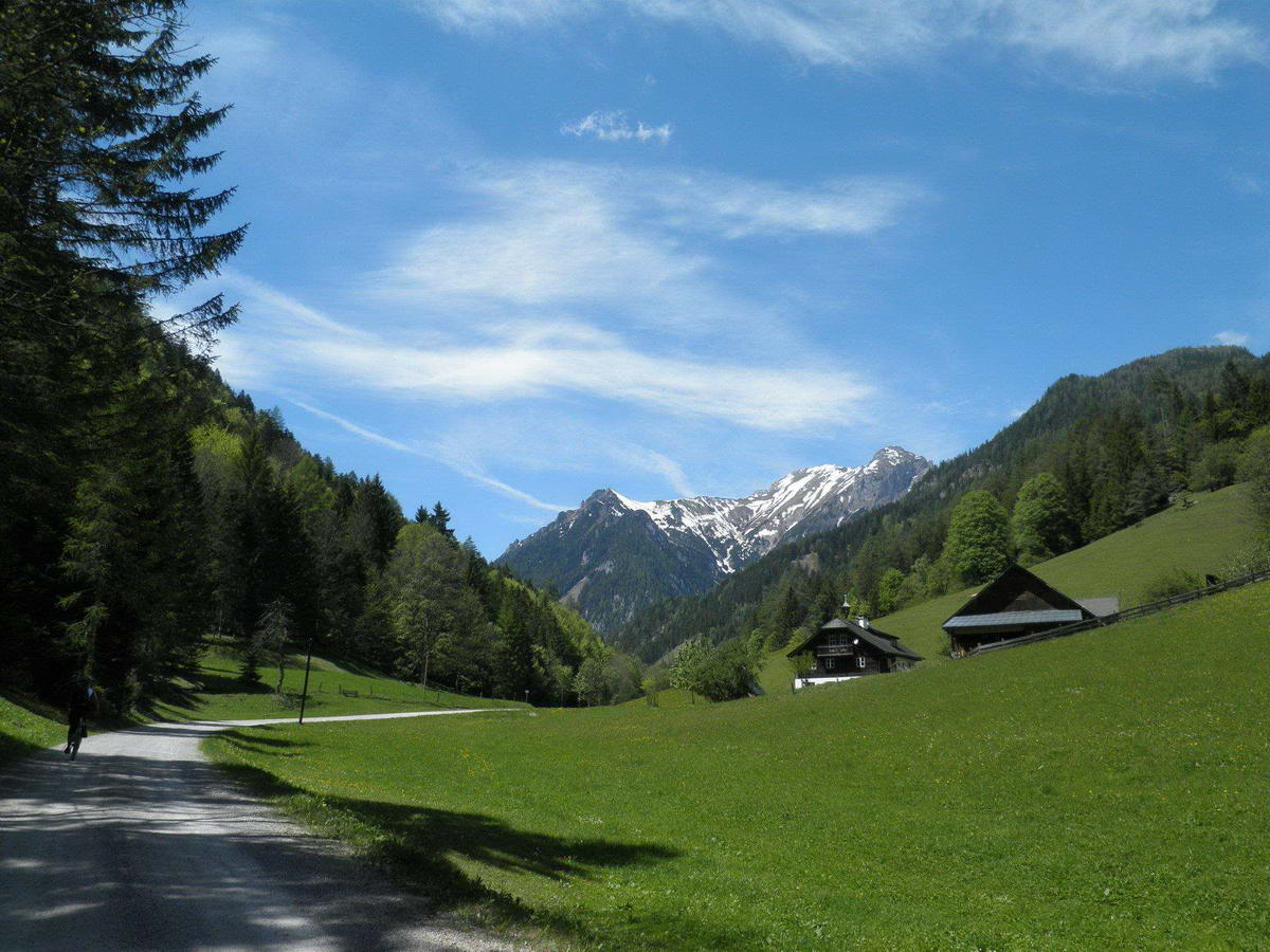 Dachstein tra j, kedvezbb felttelekkel!