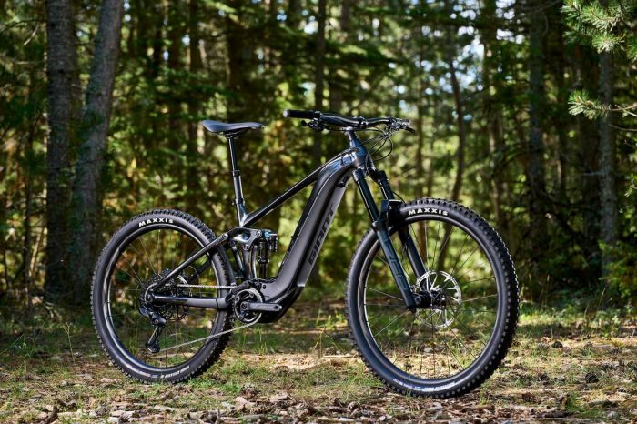 GIANT REIGN E+ 2 2022