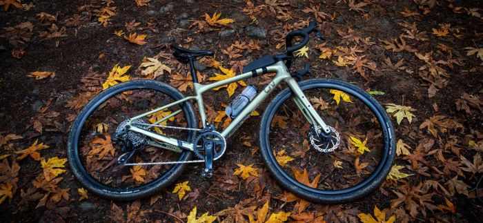 LIV DEVOTE ADVANCED 1 gravel kerkpr