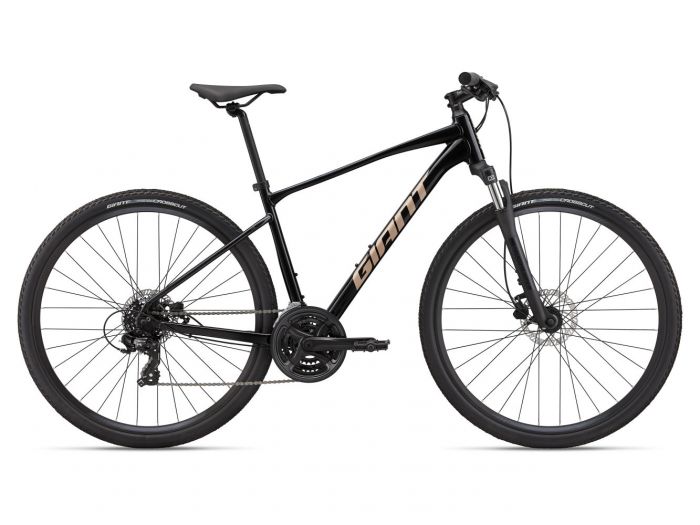 GIANT ROAM DISC 4 2022