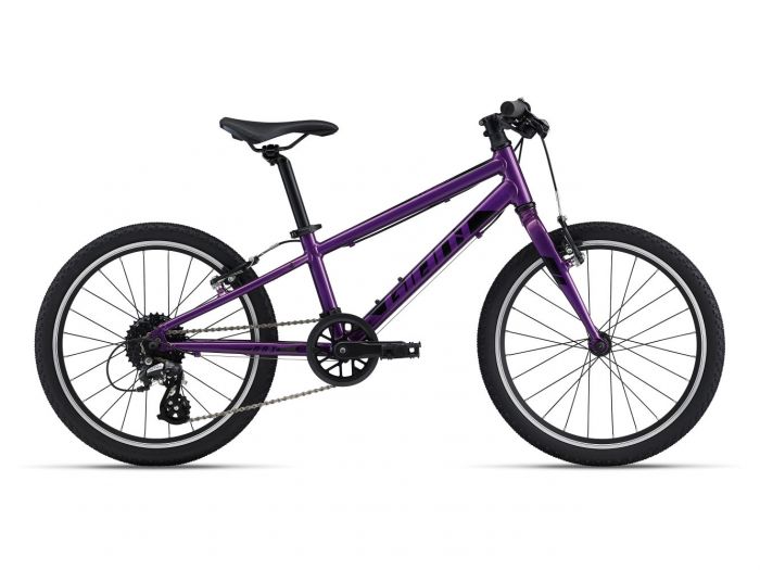 GIANT ARX 20