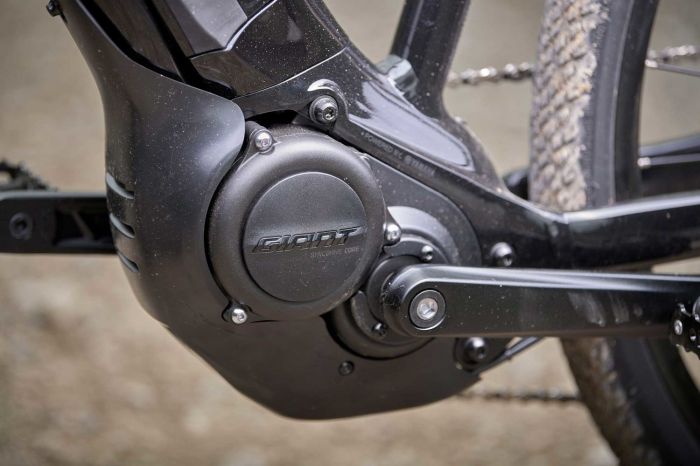 GIANT ROAM E+ STA