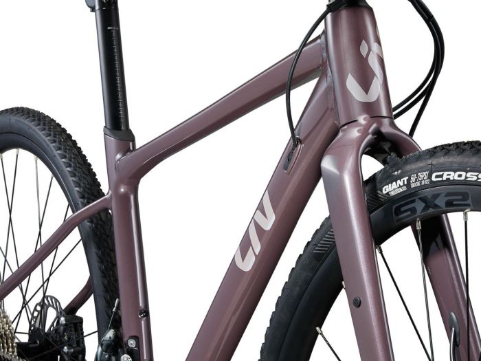 LIV DEVOTE 1 gravel kerkpr