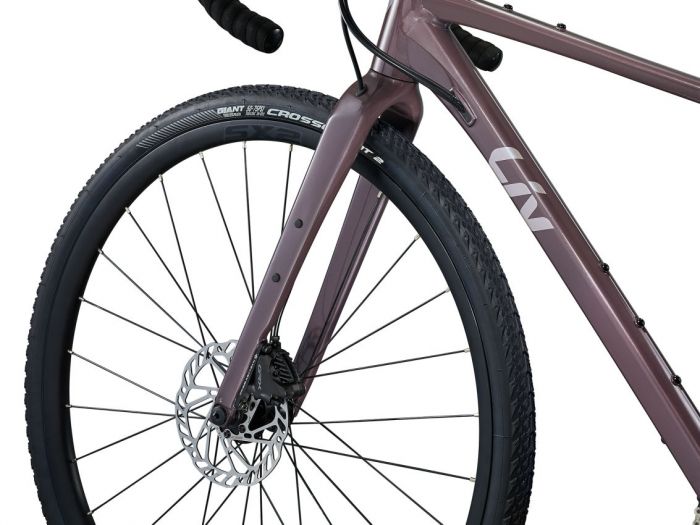LIV DEVOTE 1 gravel kerkpr