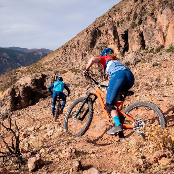 Endura SINGLETRACK L/S JERSEY