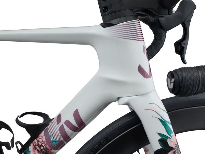 LIV ENVILIV ADVANCED SL LTD