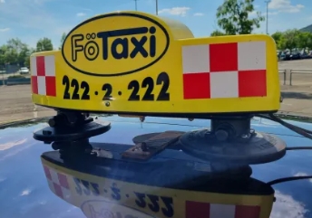 Treefrog Taxi t�blatart�