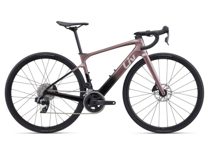 Liv Avail Advanced E+ Elite 2