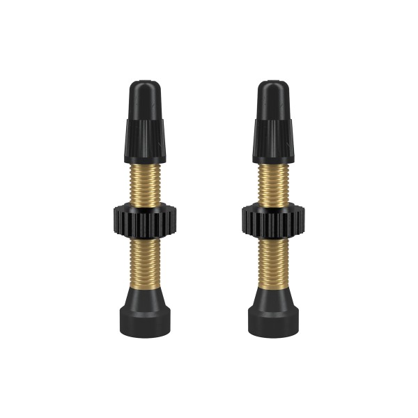 WTB TUBELESS SZING SZELEP GARNITRA